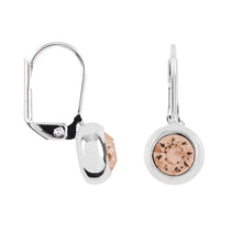 Load image into Gallery viewer, Solitaire Round Bezel Lever Back Earrings